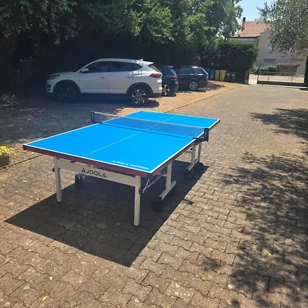 Dragica Apartment Porec